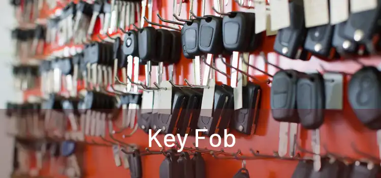  Key Fob 